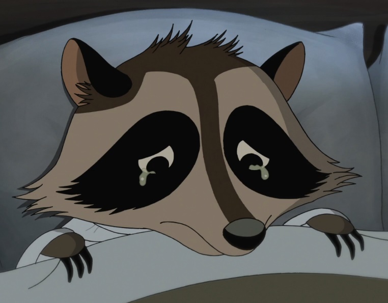 High Quality Sad_Racoon Blank Meme Template