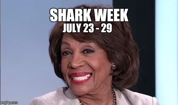Shark Week in Washington | SHARK WEEK; JULY 23 - 29 | image tagged in funny,funny memes,gifs,memes,animals | made w/ Imgflip meme maker