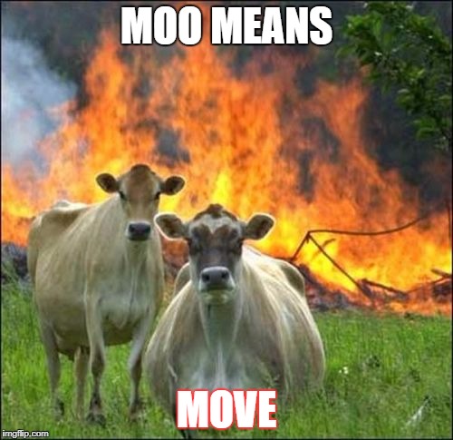Evil Cows Meme | MOO MEANS; MOVE | image tagged in memes,evil cows | made w/ Imgflip meme maker