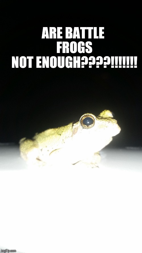 ARE BATTLE FROGS NOT ENOUGH????!!!!!!! | made w/ Imgflip meme maker