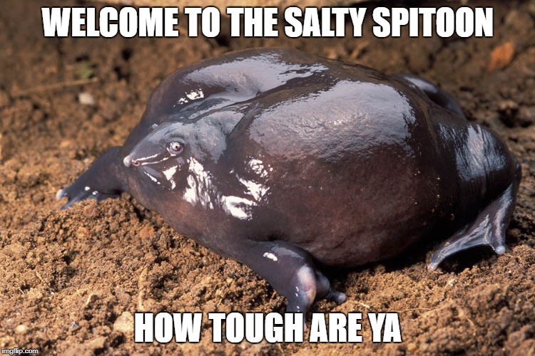 Purple frog salty spitoon. | WELCOME TO THE SALTY SPITOON; HOW TOUGH ARE YA | image tagged in welcome to the salty spitoon,salty,spitoon,salty spitoon,purple,frog | made w/ Imgflip meme maker