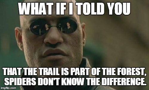 Matrix Morpheus Meme | WHAT IF I TOLD YOU; THAT THE TRAIL IS PART OF THE FOREST, SPIDERS DON'T KNOW THE DIFFERENCE. | image tagged in memes,matrix morpheus | made w/ Imgflip meme maker