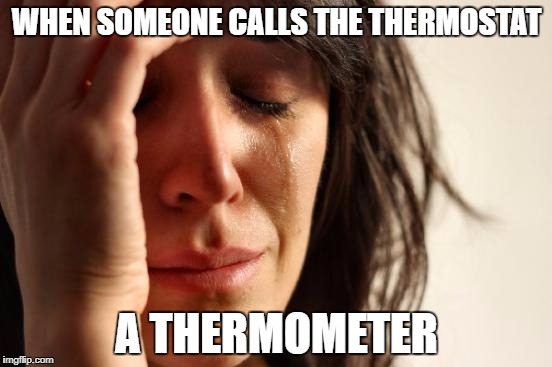 First World Problems | WHEN SOMEONE CALLS THE THERMOSTAT; A THERMOMETER | image tagged in memes,first world problems | made w/ Imgflip meme maker