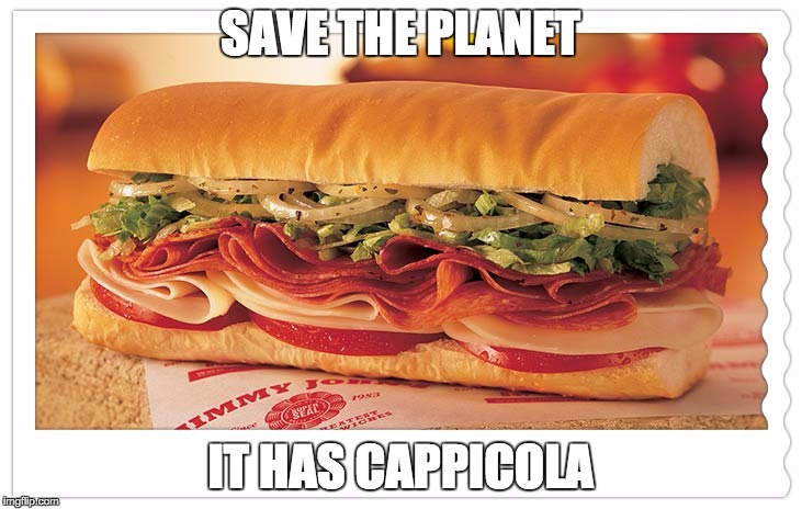 Sandwich | SAVE THE PLANET; IT HAS CAPPICOLA | image tagged in sandwich | made w/ Imgflip meme maker