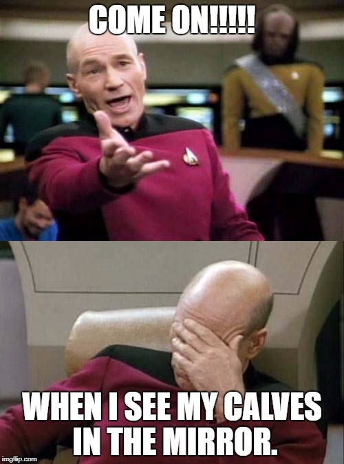 Picard WTF and Facepalm combined | COME ON!!!!! WHEN I SEE MY CALVES IN THE MIRROR. | image tagged in picard wtf and facepalm combined | made w/ Imgflip meme maker