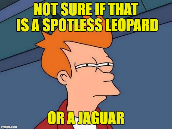 Futurama Fry Meme | NOT SURE IF THAT IS A SPOTLESS LEOPARD OR A JAGUAR | image tagged in memes,futurama fry | made w/ Imgflip meme maker