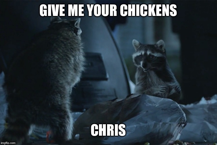 Geico Raccoons  | GIVE ME YOUR CHICKENS; CHRIS | image tagged in geico raccoons | made w/ Imgflip meme maker