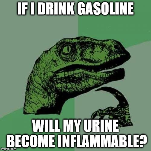 Philosoraptor Meme | IF I DRINK GASOLINE; WILL MY URINE BECOME INFLAMMABLE? | image tagged in memes,philosoraptor | made w/ Imgflip meme maker
