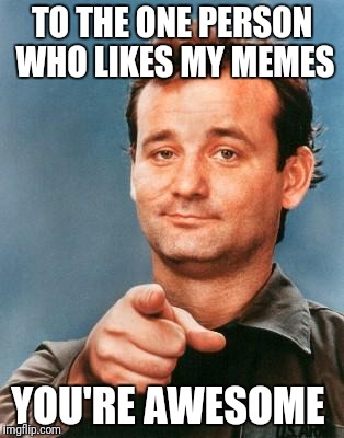I don't know who you are, but :D | TO THE ONE PERSON WHO LIKES MY MEMES; YOU'RE AWESOME | image tagged in bill murray you're awesome | made w/ Imgflip meme maker