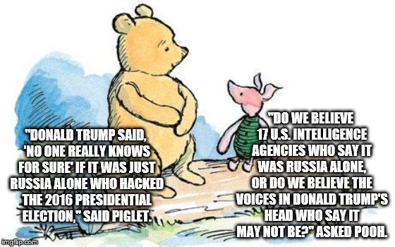 winnie the pooh and piglet | "DO WE BELIEVE 17 U.S. INTELLIGENCE AGENCIES WHO SAY IT WAS RUSSIA ALONE, OR DO WE BELIEVE THE VOICES IN DONALD TRUMP'S HEAD WHO SAY IT MAY NOT BE?" ASKED POOH. "DONALD TRUMP SAID, 'NO ONE REALLY KNOWS FOR SURE' IF IT WAS JUST RUSSIA ALONE WHO HACKED THE 2016 PRESIDENTIAL ELECTION," SAID PIGLET. | image tagged in winnie the pooh and piglet | made w/ Imgflip meme maker