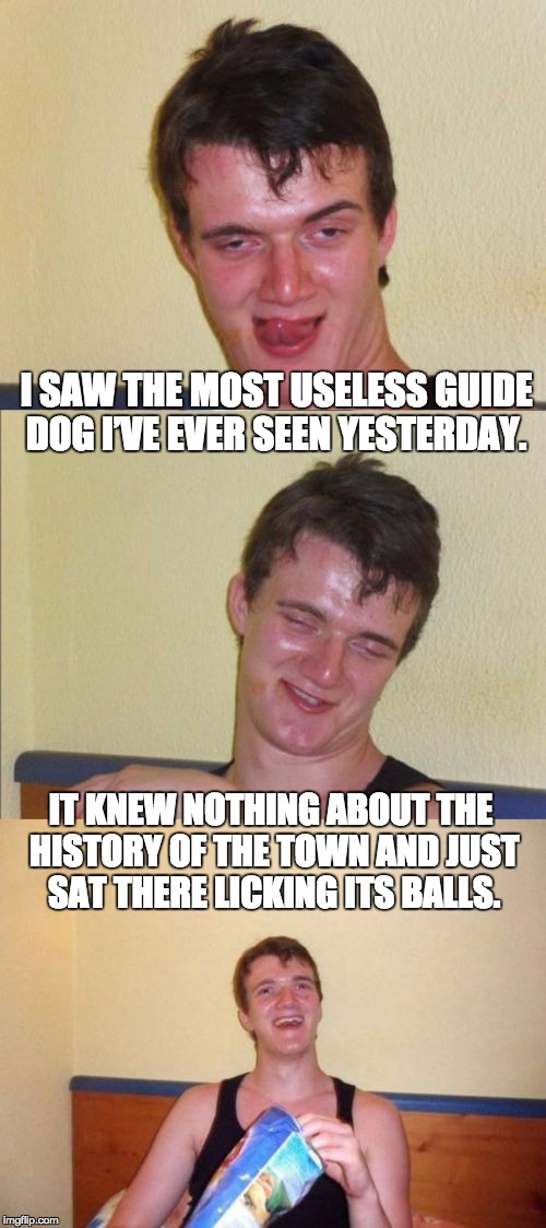 10 guy bad pun | I SAW THE MOST USELESS GUIDE DOG I’VE EVER SEEN YESTERDAY. IT KNEW NOTHING ABOUT THE HISTORY OF THE TOWN AND JUST SAT THERE LICKING ITS BALLS. | image tagged in 10 guy bad pun | made w/ Imgflip meme maker