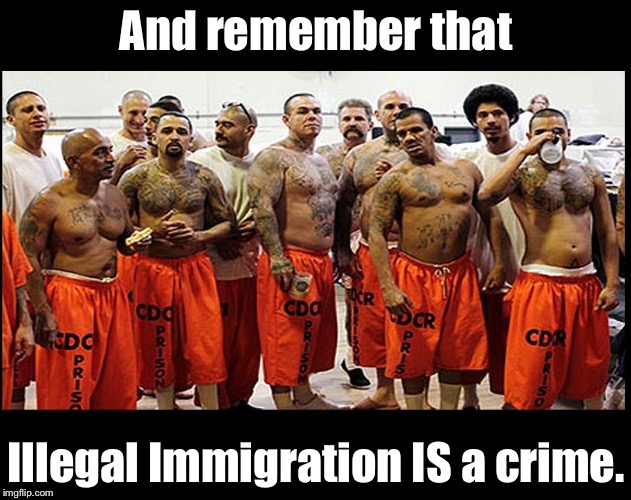 Illegal Aliens for Real | And remember that Illegal Immigration IS a crime. | image tagged in illegal aliens for real | made w/ Imgflip meme maker
