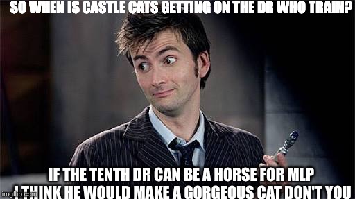 SO WHEN IS CASTLE CATS GETTING ON THE DR WHO TRAIN? IF THE TENTH DR CAN BE A HORSE FOR MLP I THINK HE WOULD MAKE A GORGEOUS CAT DON'T YOU | image tagged in castle cats,dr who | made w/ Imgflip meme maker