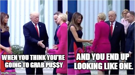 AND YOU END UP LOOKING LIKE ONE. WHEN YOU THINK YOU'RE GOING TO GRAB PU$$Y | image tagged in trump,poland,snub,embarass,embarassing | made w/ Imgflip meme maker