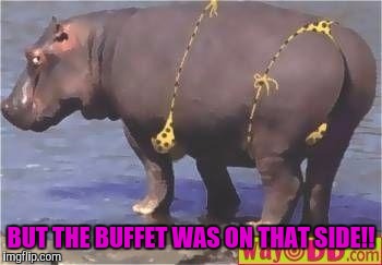BUT THE BUFFET WAS ON THAT SIDE!! | made w/ Imgflip meme maker