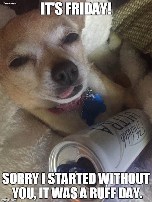 It's Friday! | IT'S FRIDAY! SORRY I STARTED WITHOUT YOU, IT WAS A RUFF DAY. | image tagged in it's friday,work,alcohol,beer,pets,dogs | made w/ Imgflip meme maker
