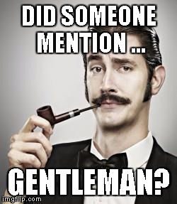 gentlemanne | DID SOMEONE MENTION ... GENTLEMAN? | image tagged in gentlemanne | made w/ Imgflip meme maker