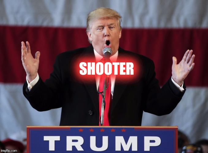 Make america great again | SHOOTER | image tagged in make america great again | made w/ Imgflip meme maker