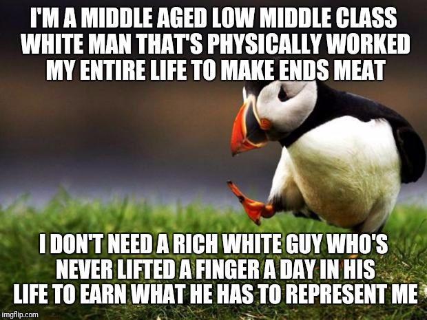 Unpopular opinion puffin | I'M A MIDDLE AGED LOW MIDDLE CLASS WHITE MAN THAT'S PHYSICALLY WORKED MY ENTIRE LIFE TO MAKE ENDS MEAT; I DON'T NEED A RICH WHITE GUY WHO'S NEVER LIFTED A FINGER A DAY IN HIS LIFE TO EARN WHAT HE HAS TO REPRESENT ME | image tagged in memes,unpopular opinion puffin | made w/ Imgflip meme maker