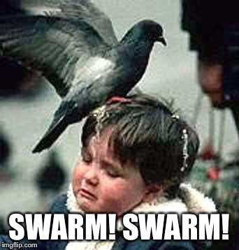 SWARM! SWARM! | made w/ Imgflip meme maker