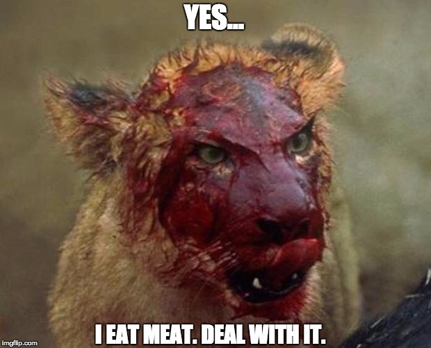 YES…; I EAT MEAT. DEAL WITH IT. | image tagged in memes,first world problems,sarcasm | made w/ Imgflip meme maker