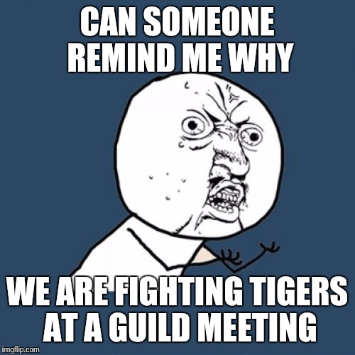 Y U No Meme | CAN SOMEONE REMIND ME WHY; WE ARE FIGHTING TIGERS AT A GUILD MEETING | image tagged in memes,y u no | made w/ Imgflip meme maker