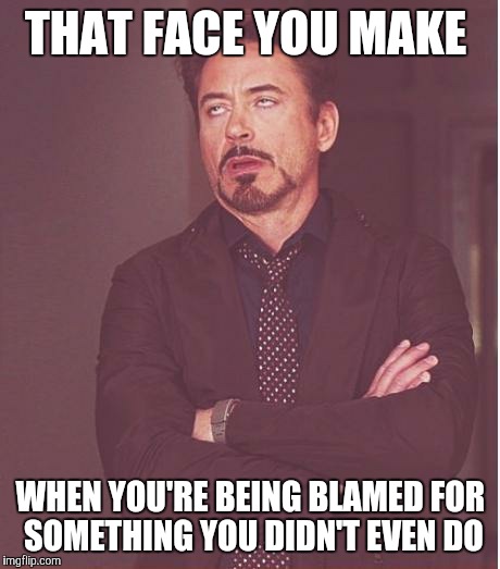 That face you make | THAT FACE YOU MAKE; WHEN YOU'RE BEING BLAMED FOR SOMETHING YOU DIDN'T EVEN DO | image tagged in that face you make | made w/ Imgflip meme maker