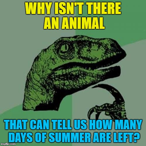 I sense an opportunity for Punxsutawney Phil to widen his repartee... :) | WHY ISN'T THERE AN ANIMAL; THAT CAN TELL US HOW MANY DAYS OF SUMMER ARE LEFT? | image tagged in memes,philosoraptor,punxsutawney phil,groundhog day,summer | made w/ Imgflip meme maker