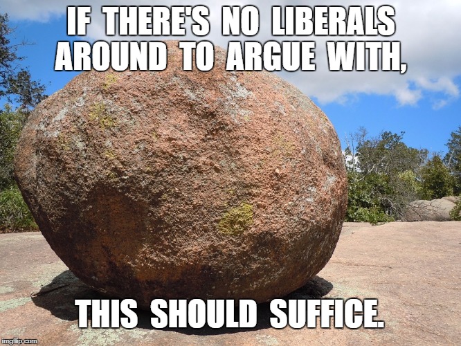 Liberalism | IF  THERE'S  NO  LIBERALS  AROUND  TO  ARGUE  WITH, THIS  SHOULD  SUFFICE. | image tagged in rock,meme | made w/ Imgflip meme maker