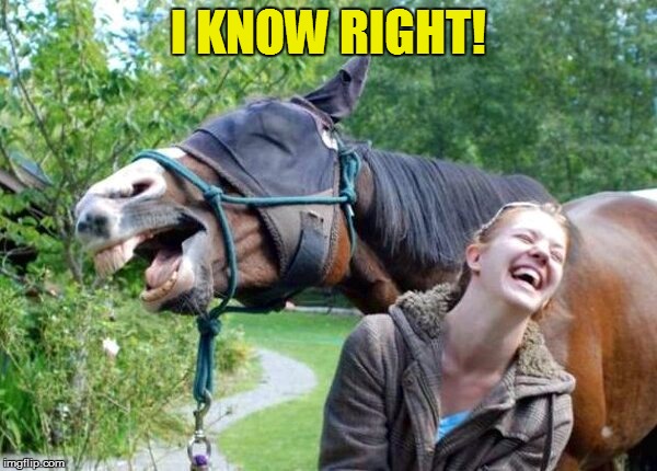 Laughing Horse | I KNOW RIGHT! | image tagged in laughing horse | made w/ Imgflip meme maker