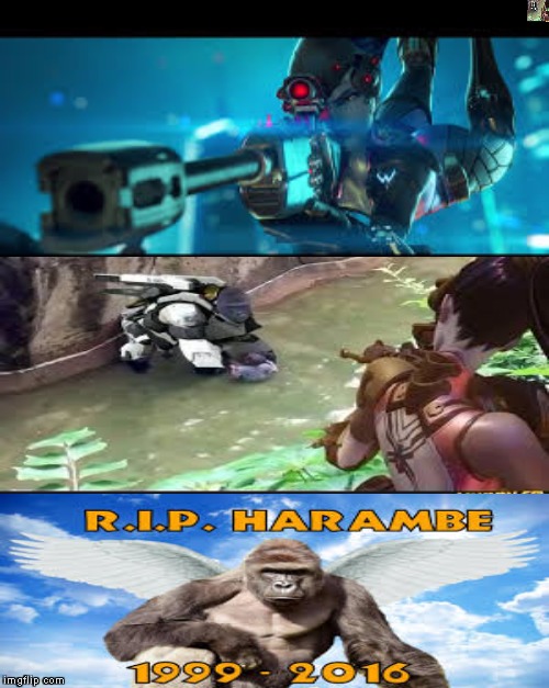 #dicks out for Winston | image tagged in memes,dicksoutforharambe,winston overwatch,widowmaker,overwatch | made w/ Imgflip meme maker
