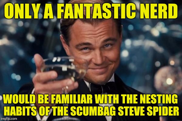 Leonardo Dicaprio Cheers Meme | ONLY A FANTASTIC NERD WOULD BE FAMILIAR WITH THE NESTING HABITS OF THE SCUMBAG STEVE SPIDER | image tagged in memes,leonardo dicaprio cheers | made w/ Imgflip meme maker