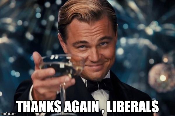 Leonardo Dicaprio Cheers Meme | THANKS AGAIN , LIBERALS | image tagged in memes,leonardo dicaprio cheers | made w/ Imgflip meme maker