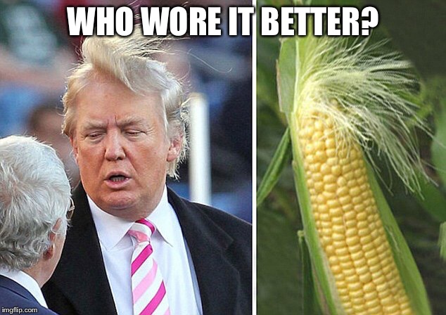 WHO WORE IT BETTER? | image tagged in who do you think wore it better | made w/ Imgflip meme maker