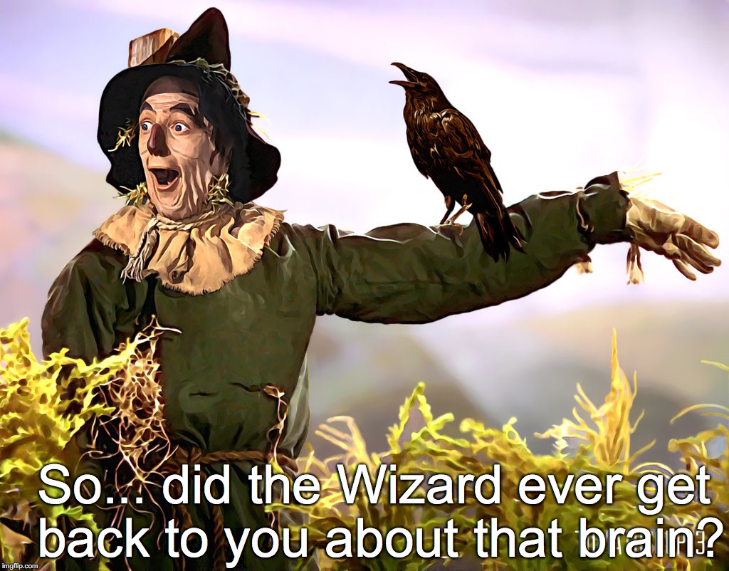 SCARECROW - OZ | So... did the Wizard ever get back to you about that brain? | image tagged in scarecrow - oz | made w/ Imgflip meme maker
