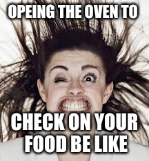 OPEING THE OVEN TO; CHECK ON YOUR FOOD BE LIKE | image tagged in when i open the oven | made w/ Imgflip meme maker
