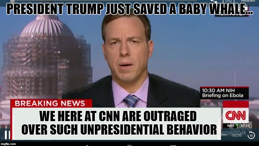 cnn breaking news template | PRESIDENT TRUMP JUST SAVED A BABY WHALE... WE HERE AT CNN ARE OUTRAGED OVER SUCH UNPRESIDENTIAL BEHAVIOR | image tagged in cnn breaking news template | made w/ Imgflip meme maker