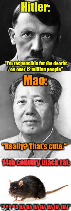 And the winner of the world's biggest mass murderer is... | Hitler:; "I'm responsible for the deaths on over 12 million people"; Mao:; "Really? That's cute."; 14th century black rat:; "AHA HA HA HA HA HA HA HA HA!" | image tagged in memes,hitler,mao zedong,rat,bubonic plague | made w/ Imgflip meme maker