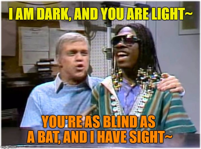 Stevie and me are peachy keen~ | I AM DARK, AND YOU ARE LIGHT~; YOU'RE AS BLIND AS A BAT, AND I HAVE SIGHT~ | image tagged in memes,funny,wonder,frank sinatra,snl,classic | made w/ Imgflip meme maker