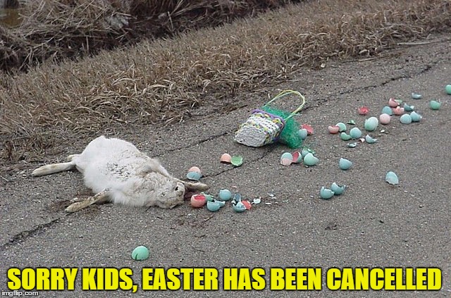Nooooo | SORRY KIDS, EASTER HAS BEEN CANCELLED | image tagged in easter,bunny,meme,hop,broken eggs,basket | made w/ Imgflip meme maker