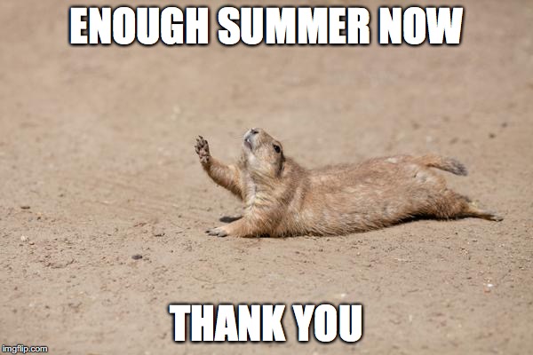 please can it be not quite so hot now | ENOUGH SUMMER NOW; THANK YOU | image tagged in meme,squirrel,hot,weather | made w/ Imgflip meme maker