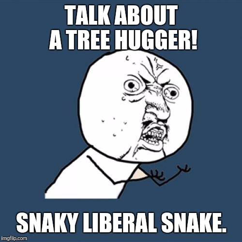 Y U No Meme | TALK ABOUT A TREE HUGGER! SNAKY LIBERAL SNAKE. | image tagged in memes,y u no | made w/ Imgflip meme maker