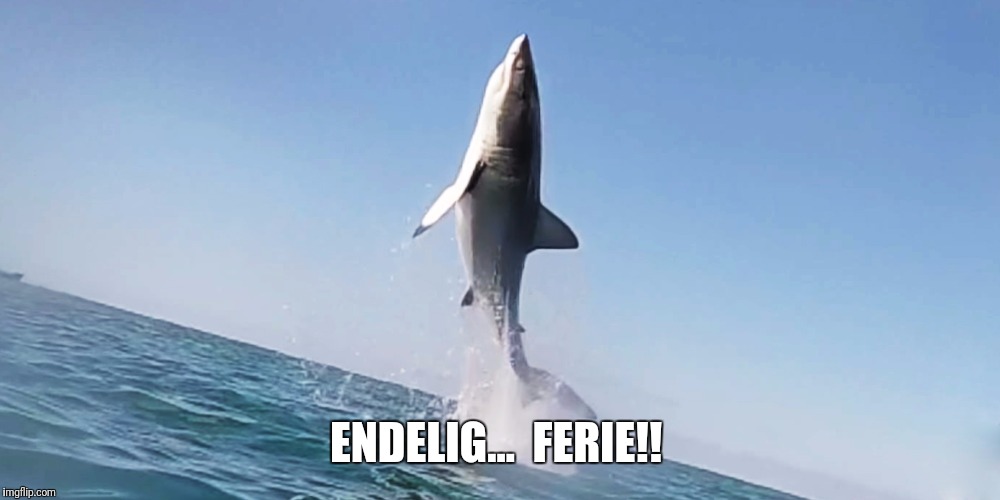 ENDELIG...  FERIE!! | image tagged in mgs | made w/ Imgflip meme maker