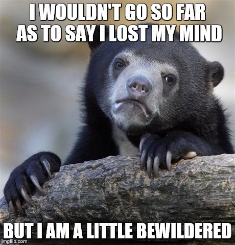 Confession Bear Meme | I WOULDN'T GO SO FAR AS TO SAY I LOST MY MIND BUT I AM A LITTLE BEWILDERED | image tagged in memes,confession bear | made w/ Imgflip meme maker