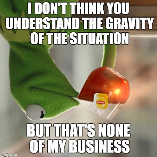 But That's None Of My Business Meme | I DON'T THINK YOU UNDERSTAND THE GRAVITY OF THE SITUATION BUT THAT'S NONE OF MY BUSINESS | image tagged in memes,but thats none of my business,kermit the frog | made w/ Imgflip meme maker