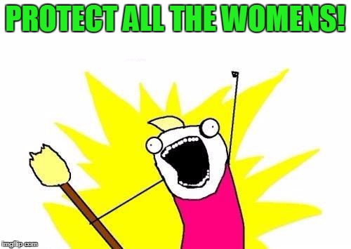 X All The Y Meme | PROTECT ALL THE WOMENS! | image tagged in memes,x all the y | made w/ Imgflip meme maker