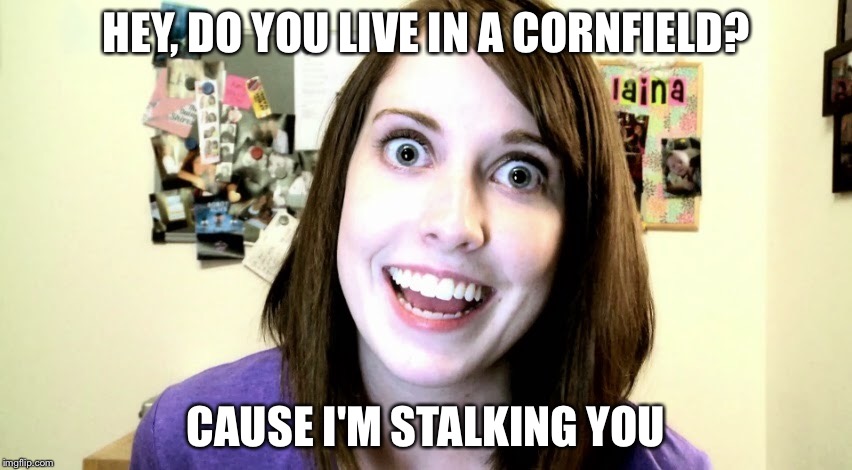 Friday night fright |  HEY, DO YOU LIVE IN A CORNFIELD? CAUSE I'M STALKING YOU | image tagged in overly attached girlfriend,pick up lines,creeper,hilarious,friday night,stalker | made w/ Imgflip meme maker