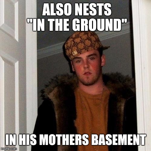 ALSO NESTS "IN THE GROUND" IN HIS MOTHERS BASEMENT | made w/ Imgflip meme maker