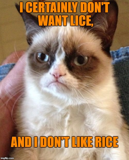 Grumpy Cat Meme | I CERTAINLY DON'T WANT LICE, AND I DON'T LIKE RICE | image tagged in memes,grumpy cat | made w/ Imgflip meme maker