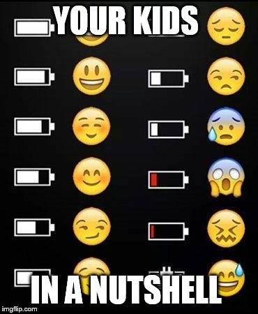 YOUR KIDS; IN A NUTSHELL | image tagged in funny meme,emoji | made w/ Imgflip meme maker